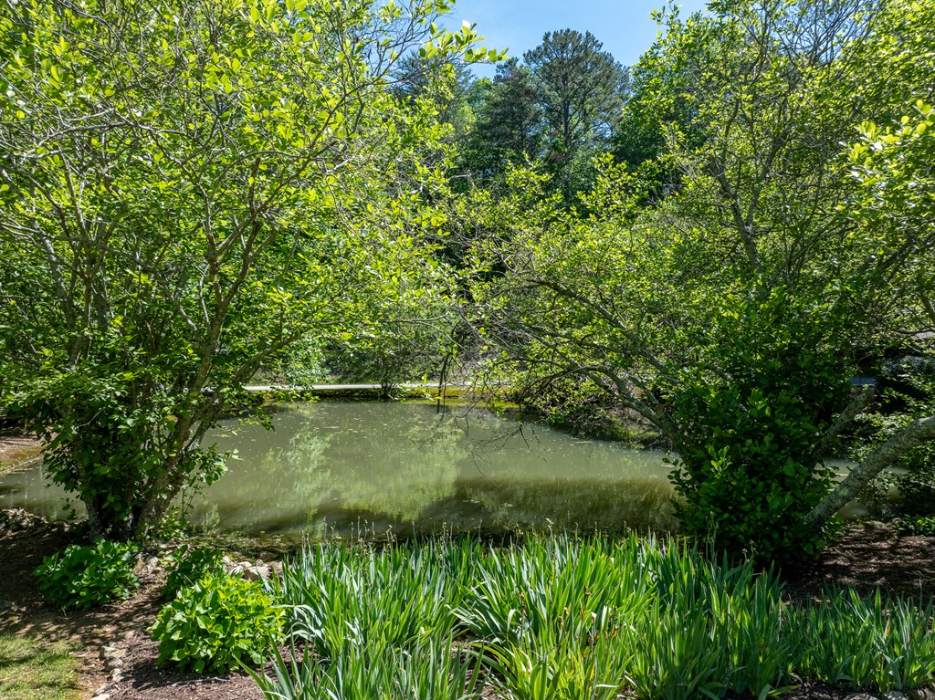 724 Fish Cove Road Blairsville, GA 30512 - Photo 30 of 88