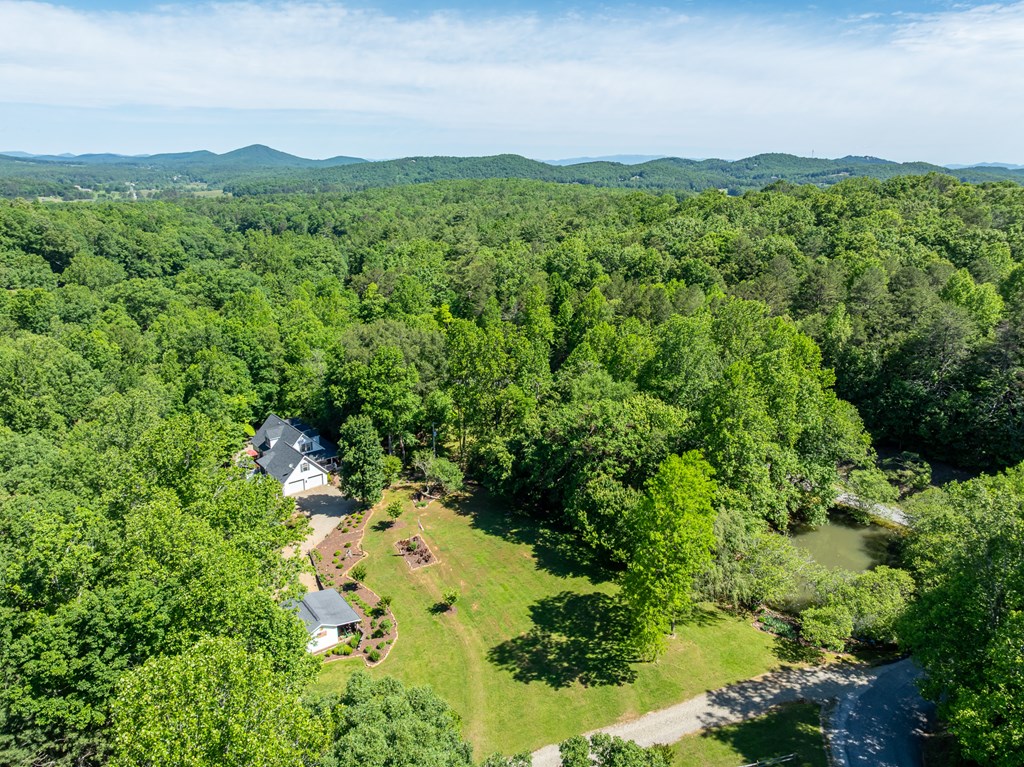 724 Fish Cove Road Blairsville, GA 30512 - Photo 32 of 88