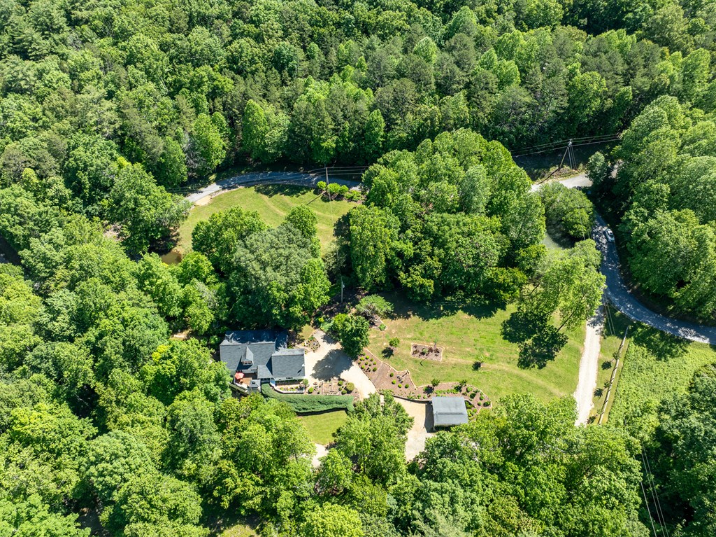 724 Fish Cove Road Blairsville, GA 30512 - Photo 33 of 88