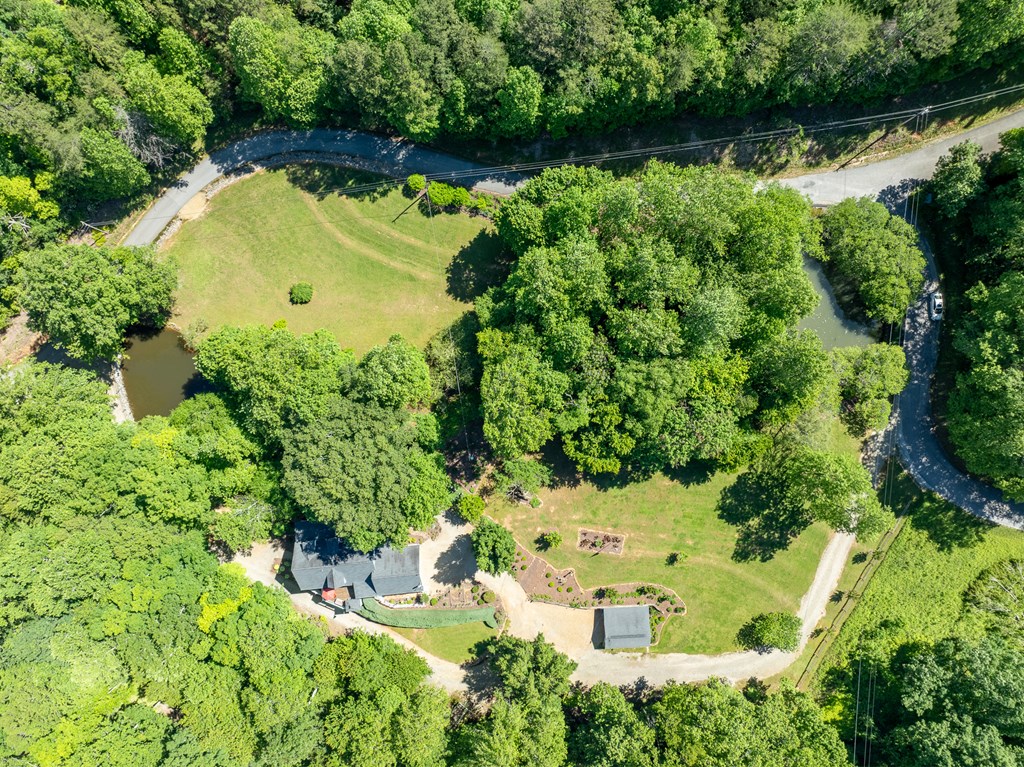 724 Fish Cove Road Blairsville, GA 30512 - Photo 34 of 88