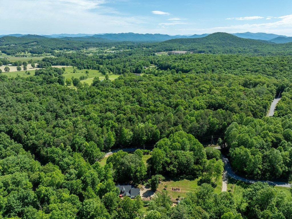 724 Fish Cove Road Blairsville, GA 30512 - Photo 35 of 88