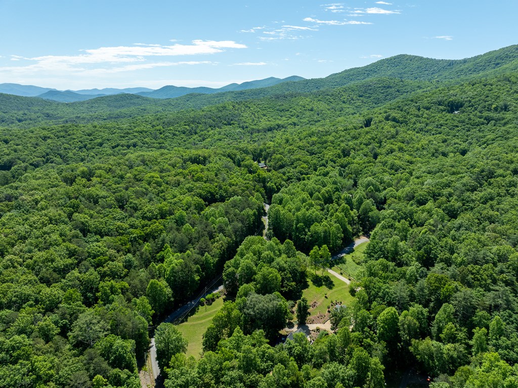 724 Fish Cove Road Blairsville, GA 30512 - Photo 36 of 88