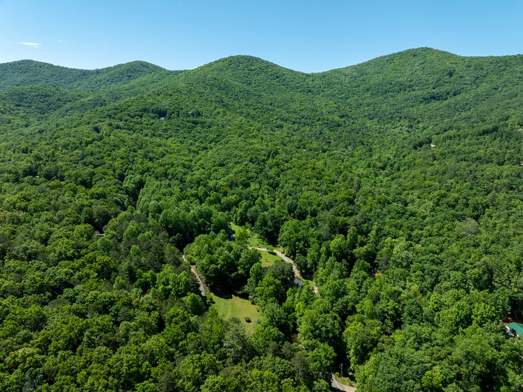 724 Fish Cove Road Blairsville, GA 30512 - Photo 37 of 88