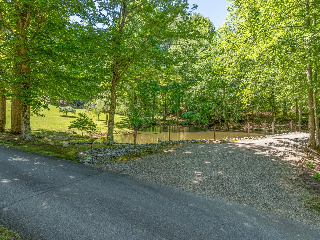 724 Fish Cove Road Blairsville, GA 30512 - Photo 10 of 88