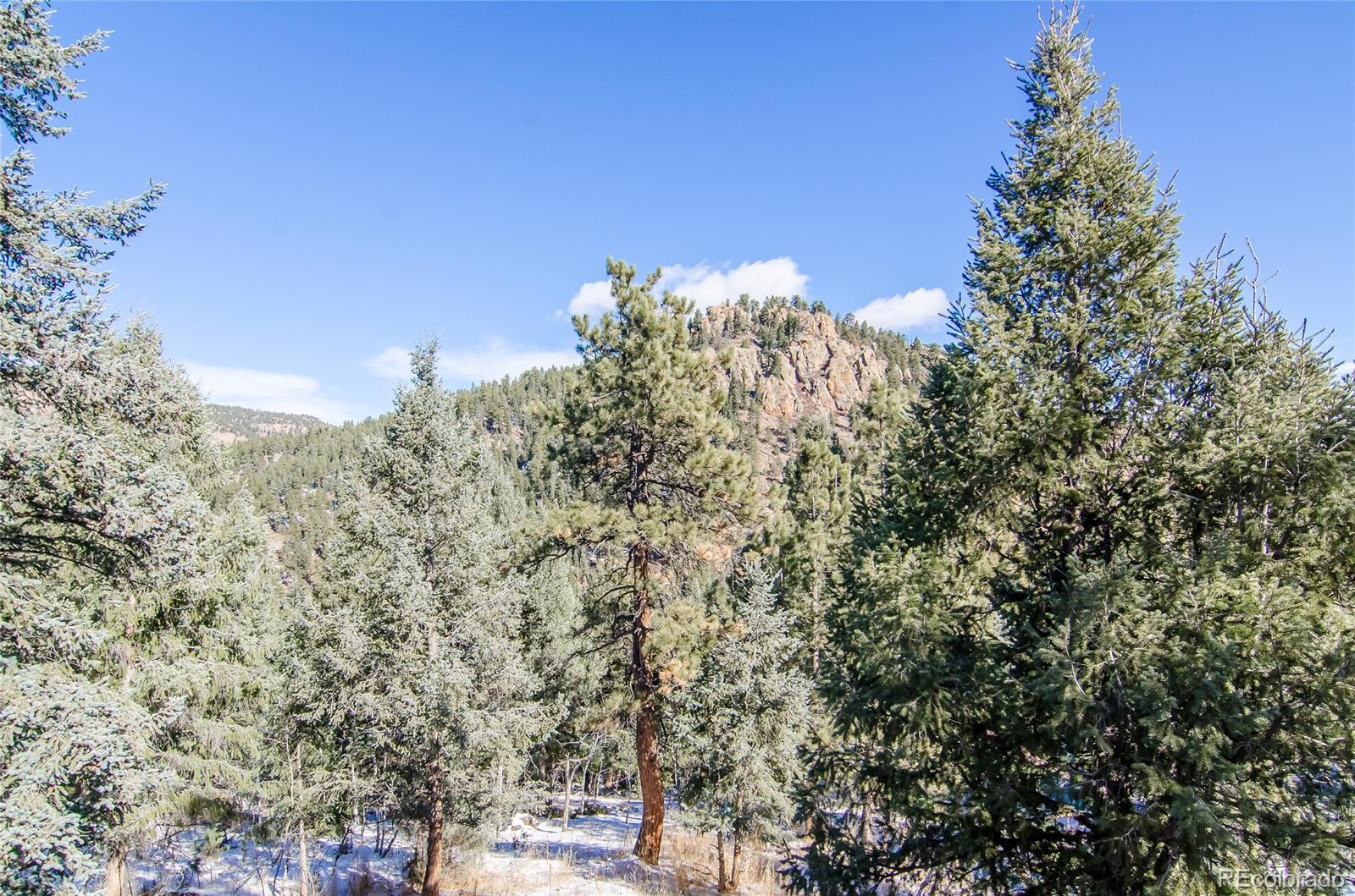 2305 Roland Drive Bailey, CO 80421 - Photo 4 of 22 Gallery Image 4
