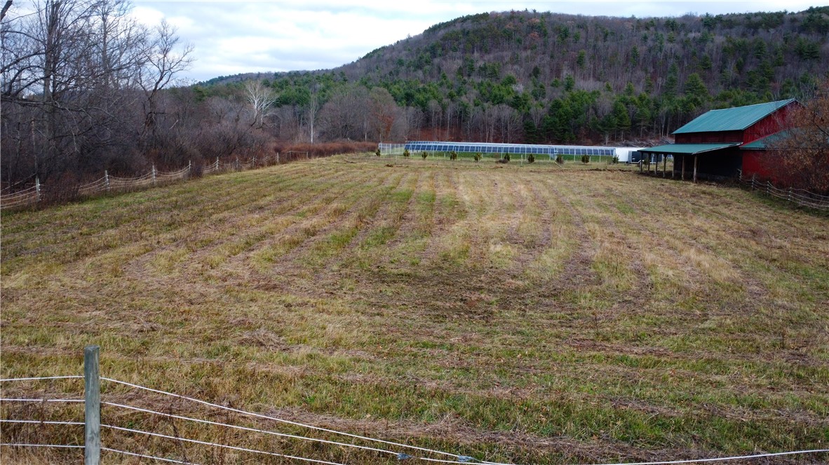 4480 Meads Creek Road Campbell, NY 14870 - Photo 38 of 46