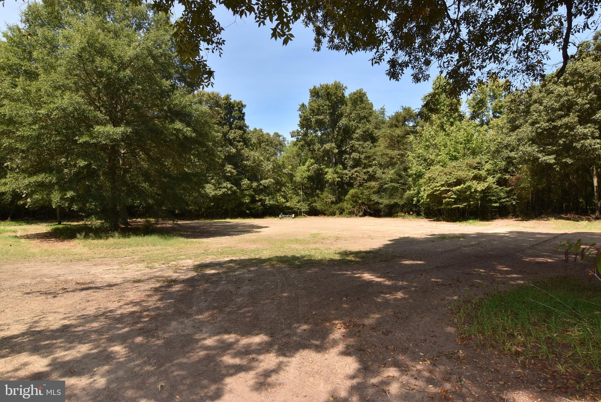 15184 Jarrell Road Goldsboro, MD 21636 - Photo 64 of 80 Side Yard