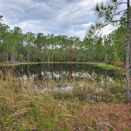 a view of a lake with a yard and large trees