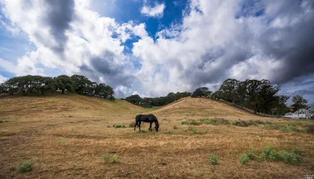 $1,399,000 | 0 Foster Road, Napa, CA 94558