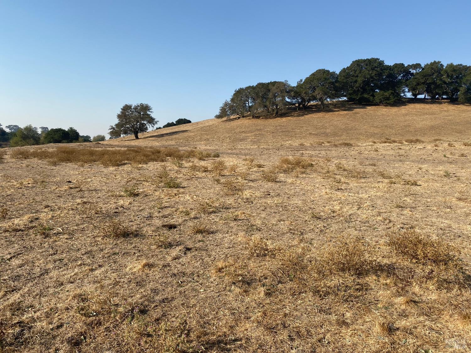 0 Foster Road Napa, CA 94558 - Photo 2 of 9