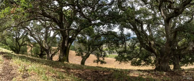 $1,399,000 | 0 Foster Road, Napa, CA 94558