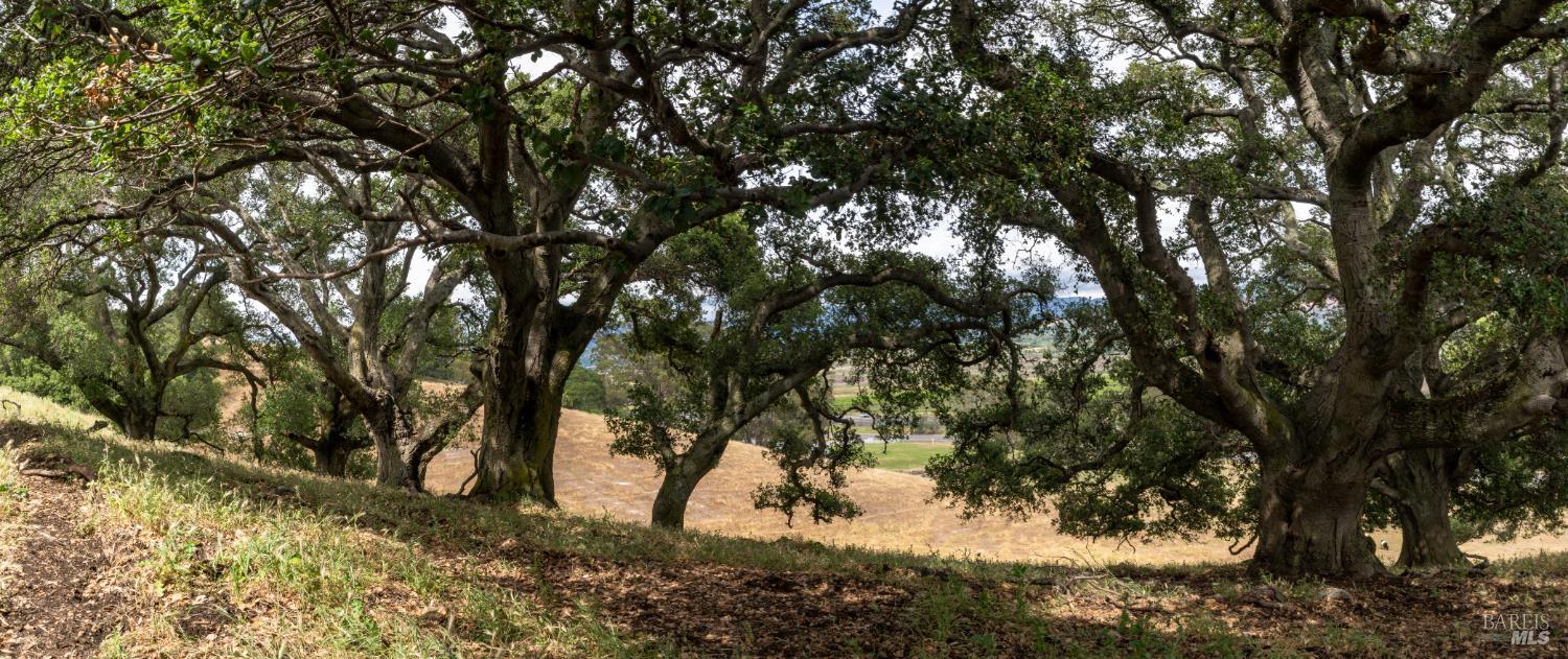 0 Foster Road Napa, CA 94558 - Photo 3 of 9