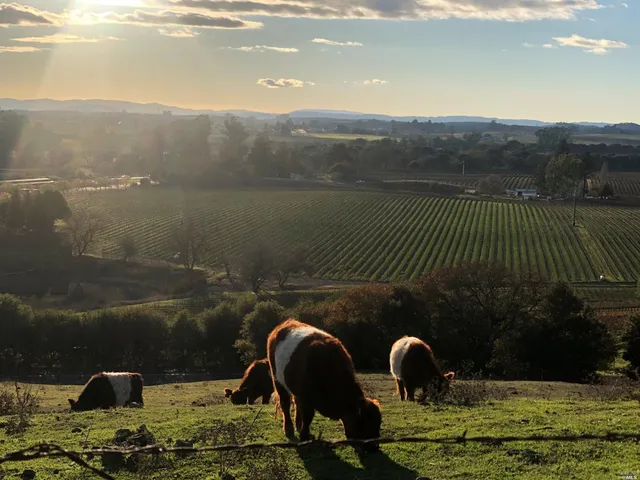 $1,399,000 | 0 Foster Road, Napa, CA 94558