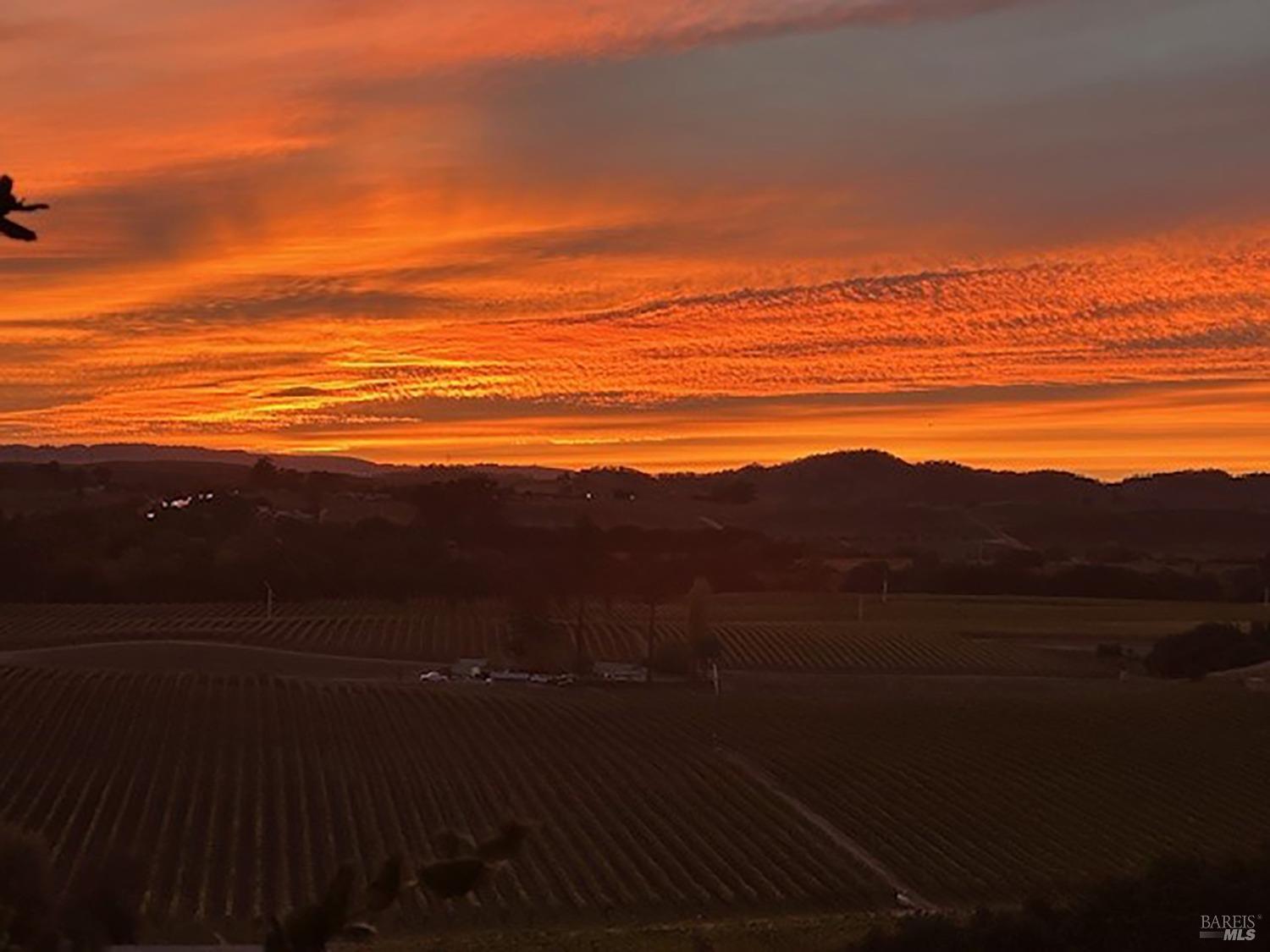 0 Foster Road Napa, CA 94558 - Photo 9 of 9