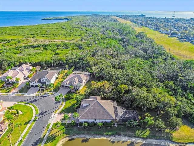 $1,380,000 | 372 Coco Plum Court, Oldsmar, FL 34677