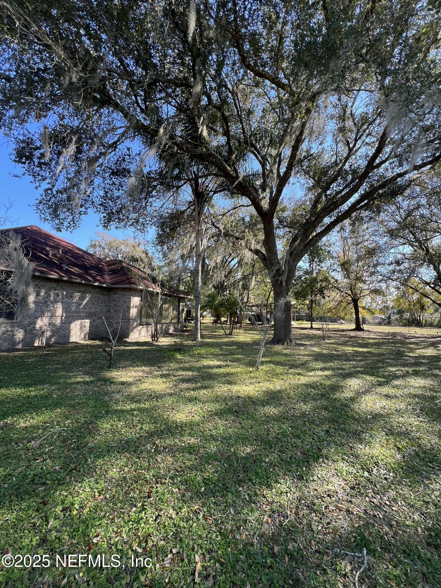 1825 Raiford Road Starke, FL 32091 - Photo 62 of 92 a view of a yard with a tree