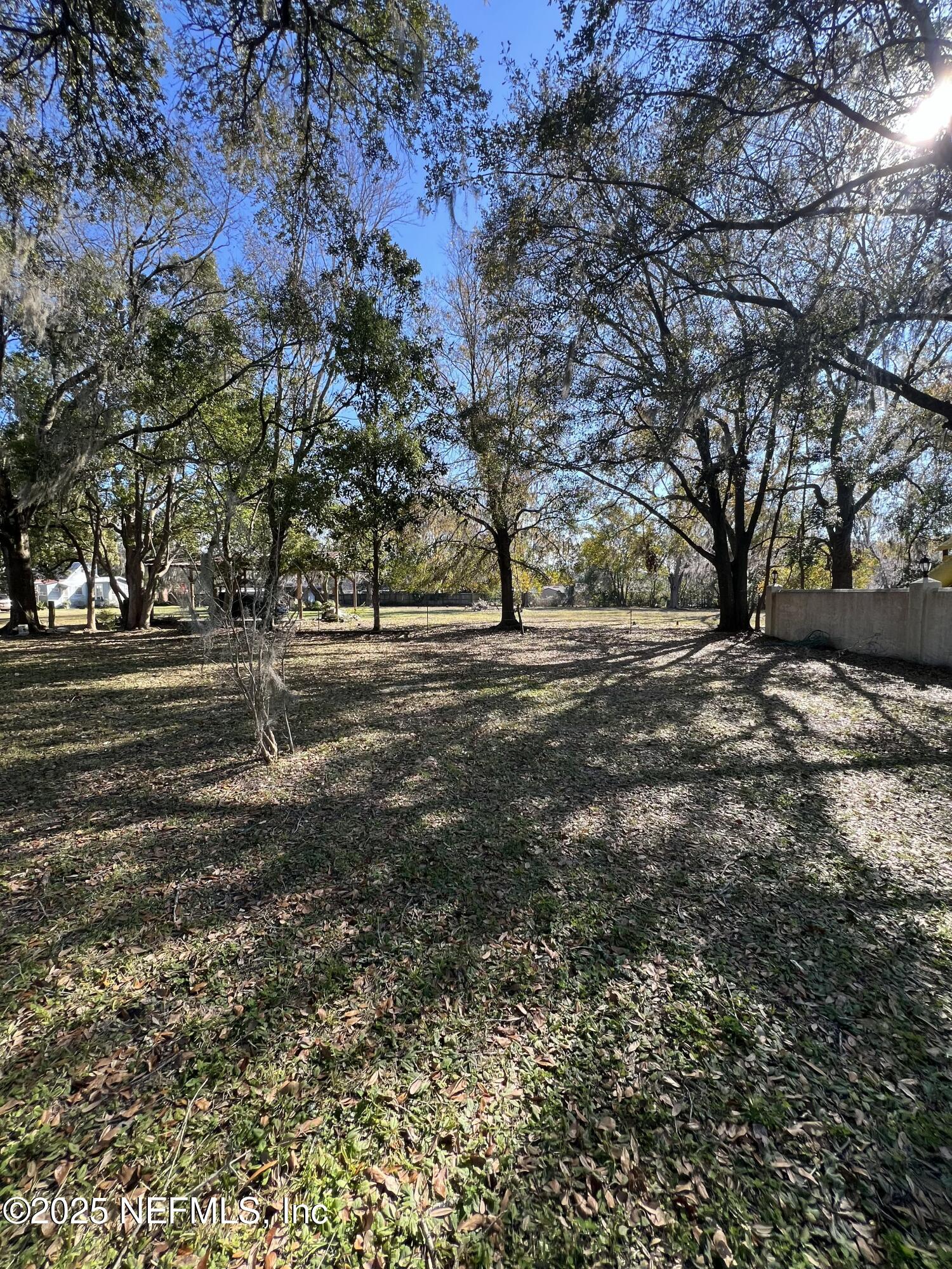 1825 Raiford Road Starke, FL 32091 - Photo 64 of 92 a view of dirt yard with a large tree