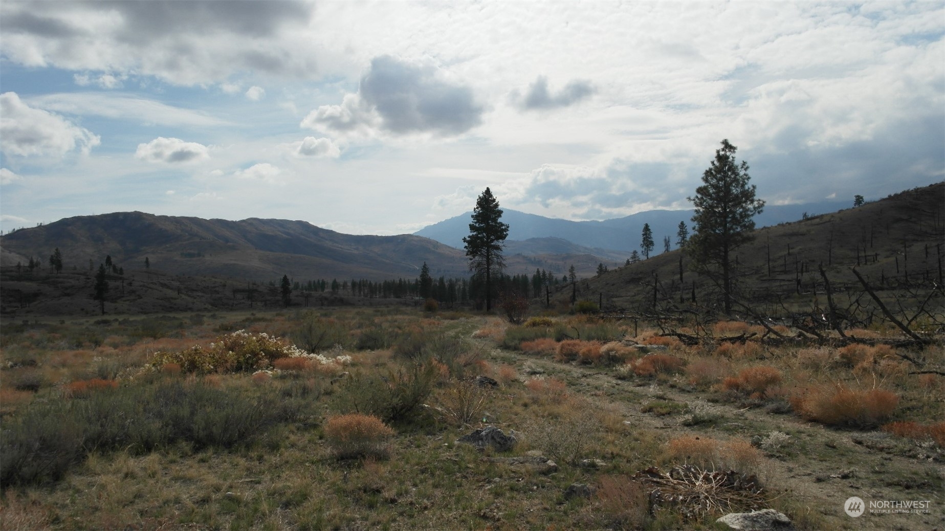 72 M Jason Lucas Road Methow, WA 98834 - Photo 7 of 37 a view of a lake with mountains in the background