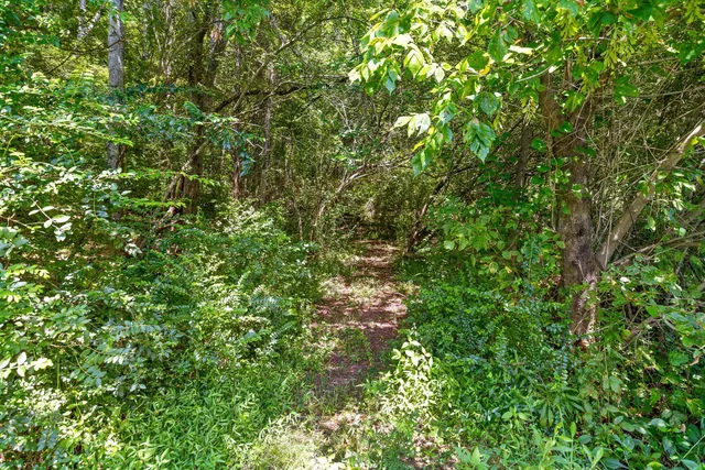 $250,000 | 900 Jordan Road, Decatur, TN 37322