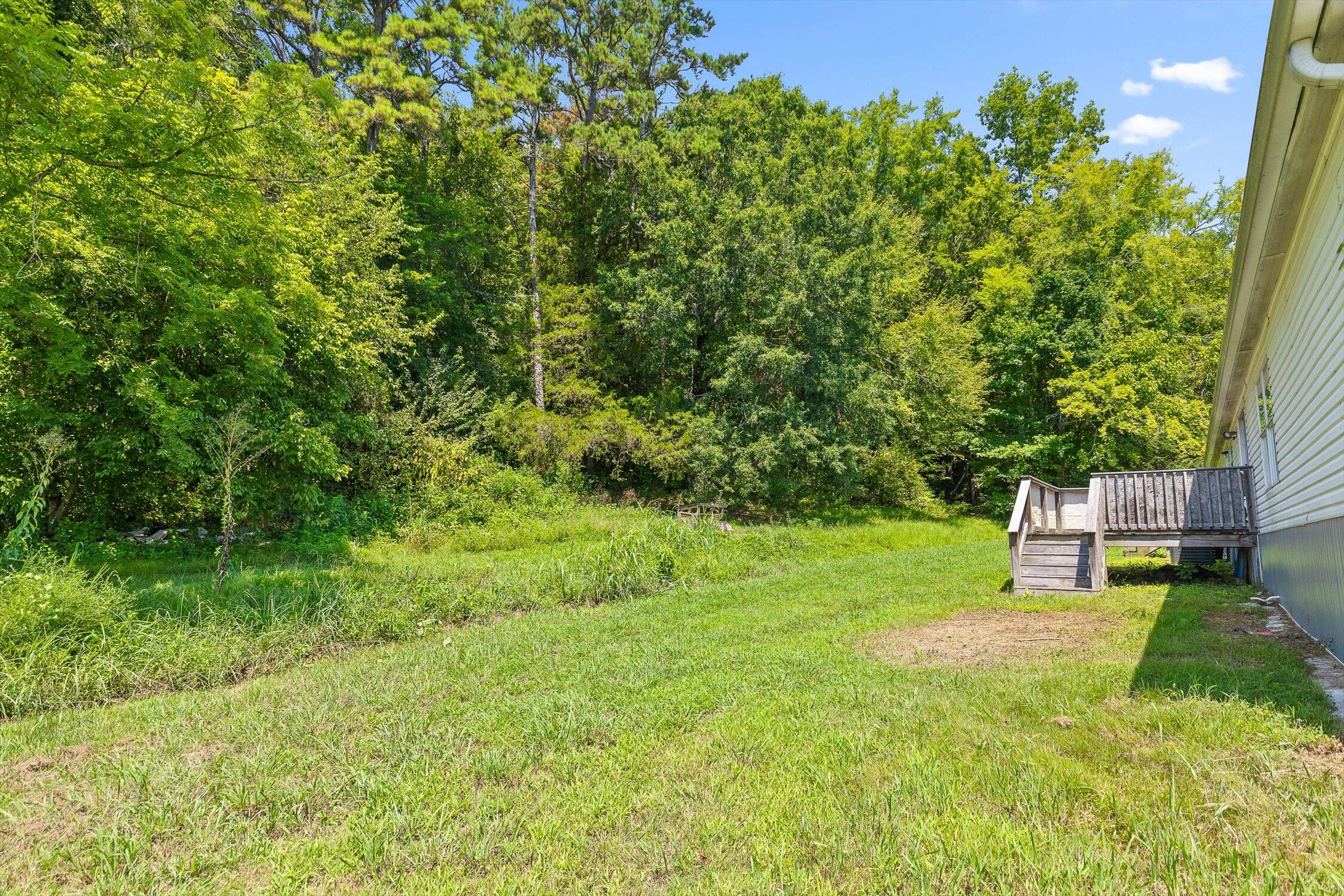 900 Jordan Road Decatur, TN 37322 - Photo 28 of 32 41-Jordan-51