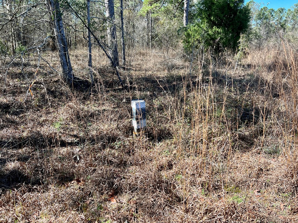 0 County Road 97 Abbeville, AL 36310 - Photo 40 of 53