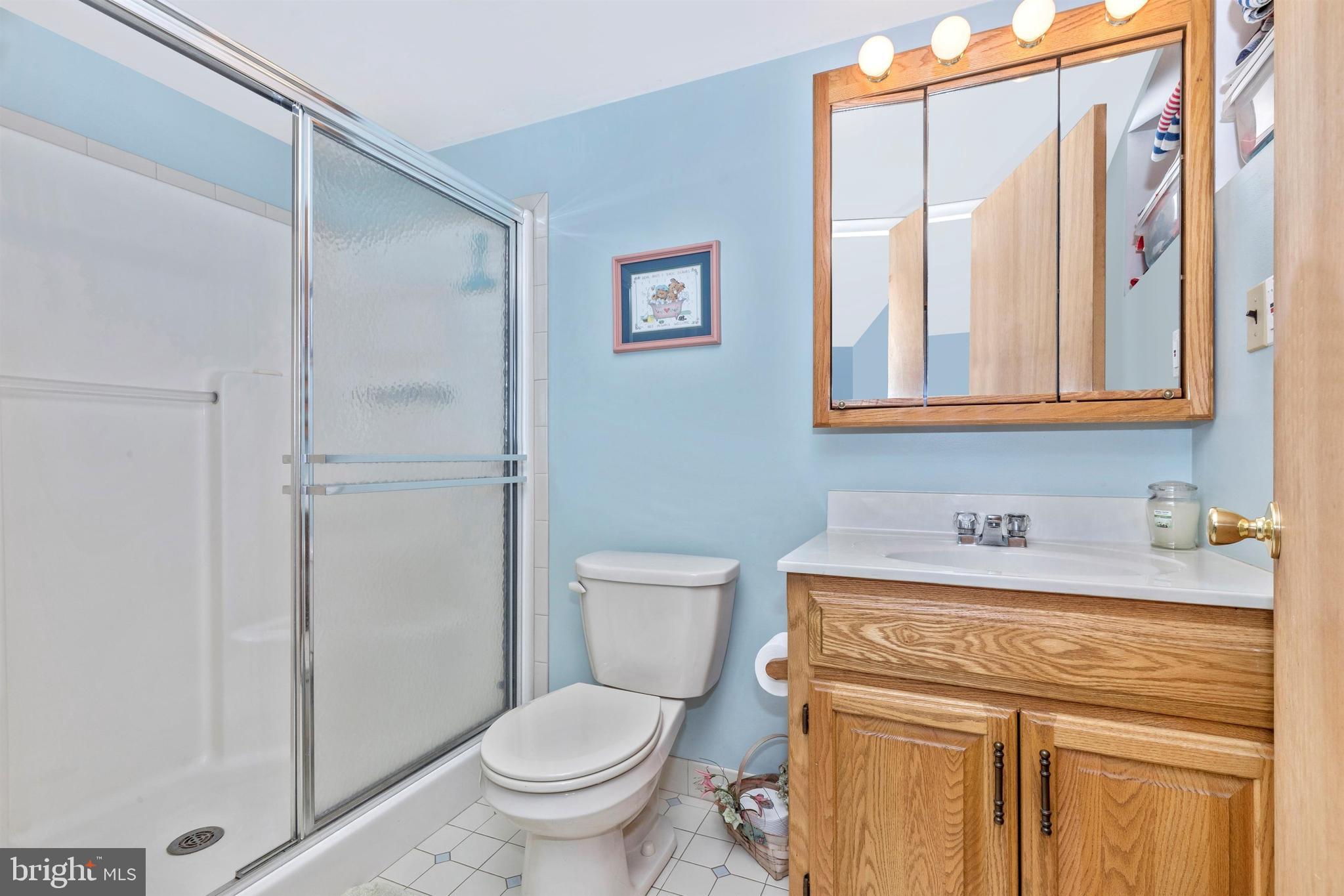 309 Ryanard Road Wallingford, PA 19086 - Photo 33 of 41 Basement Bathroom