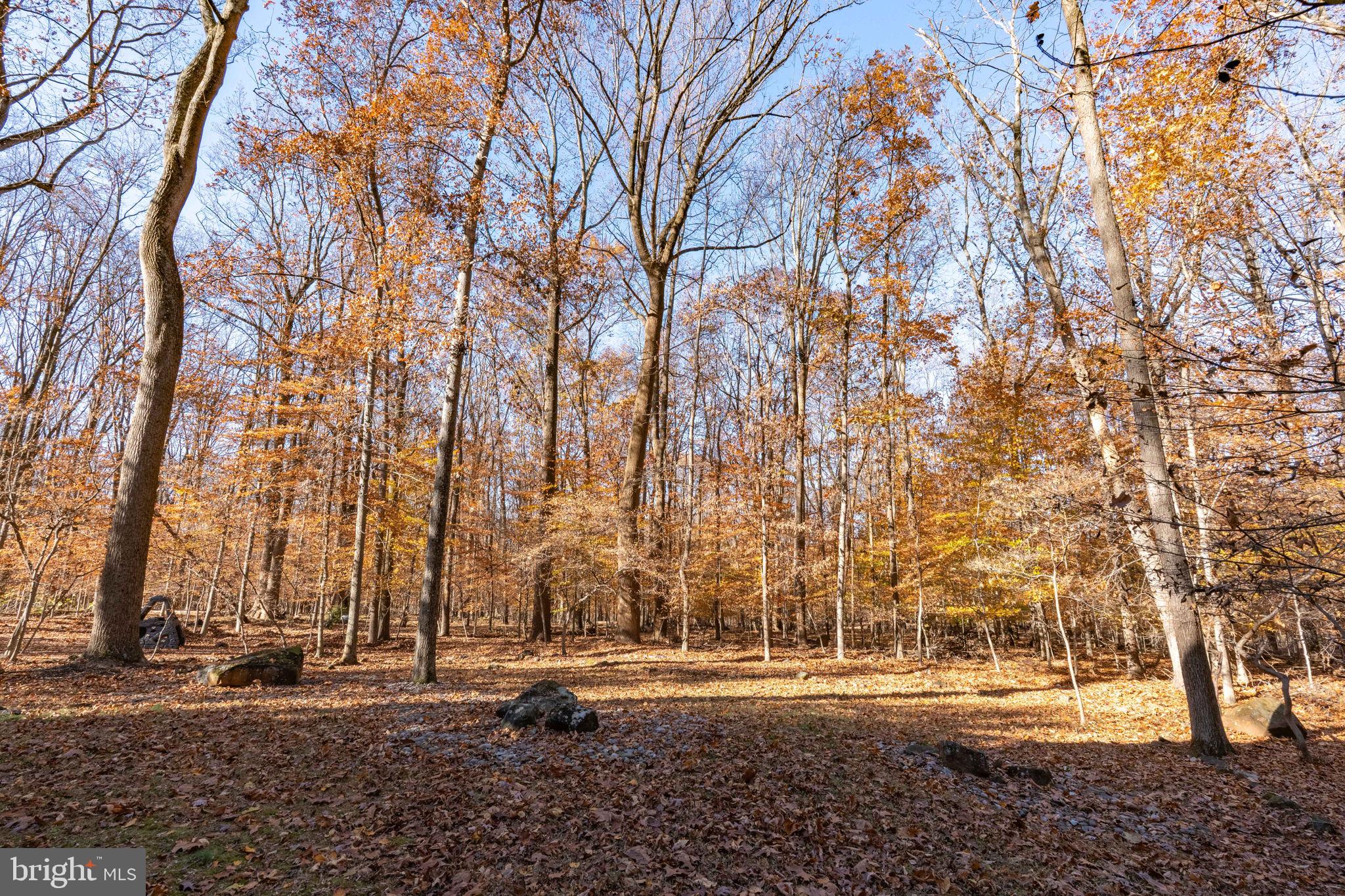 9512 White Spring Way Columbia, MD 21046 - Photo 39 of 45