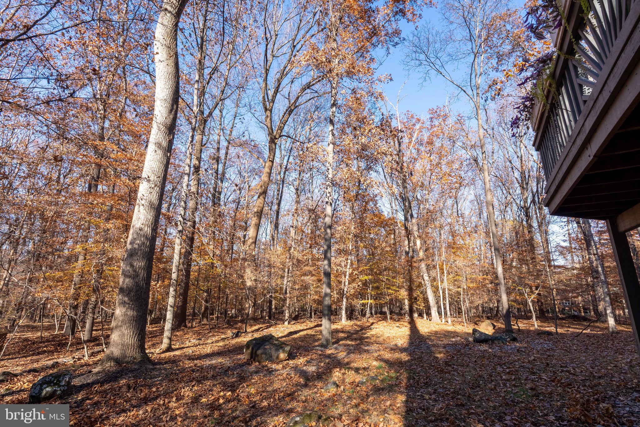 9512 White Spring Way Columbia, MD 21046 - Photo 40 of 45