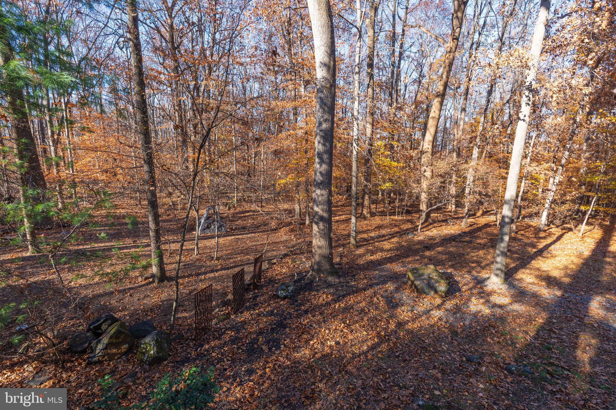 9512 White Spring Way Columbia, MD 21046 - Photo 41 of 45