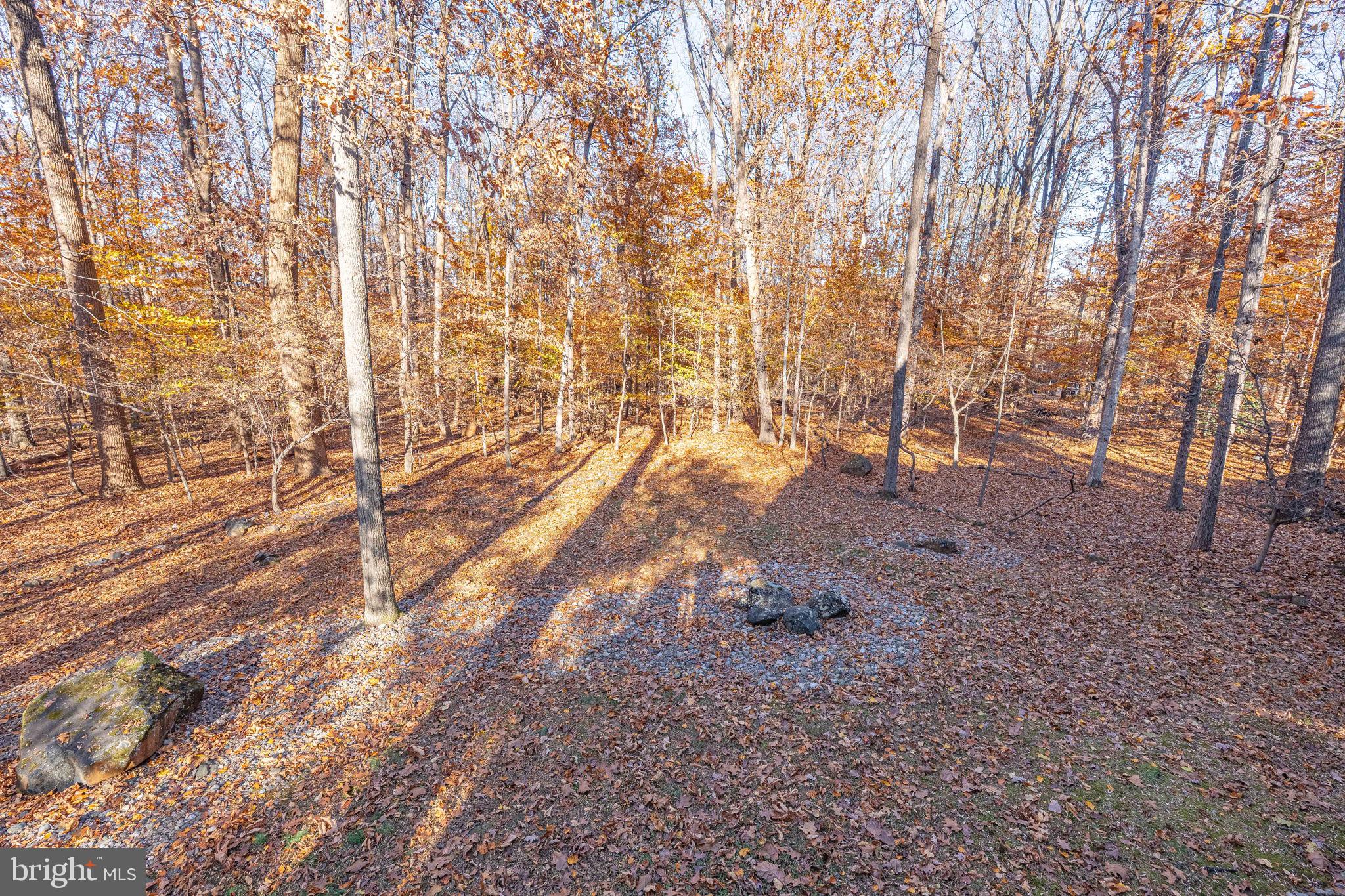 9512 White Spring Way Columbia, MD 21046 - Photo 42 of 45