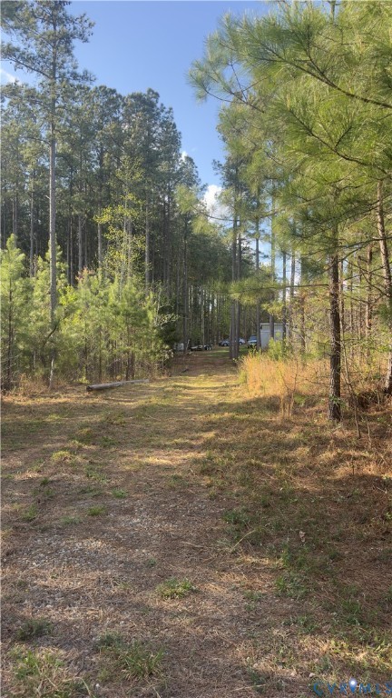 0 Loman Road Meherrin, VA 23954 - Photo 14 of 15