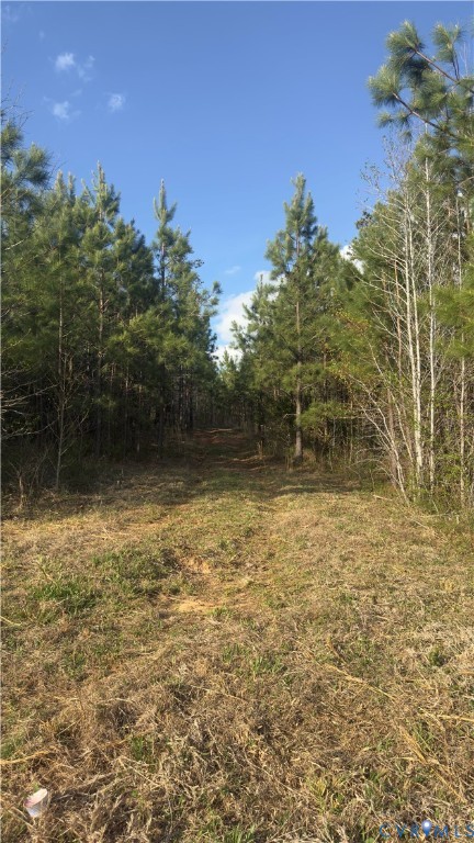0 Loman Road Meherrin, VA 23954 - Photo 2 of 15