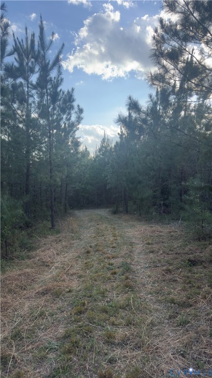 0 Loman Road Meherrin, VA 23954 - Photo 6 of 15