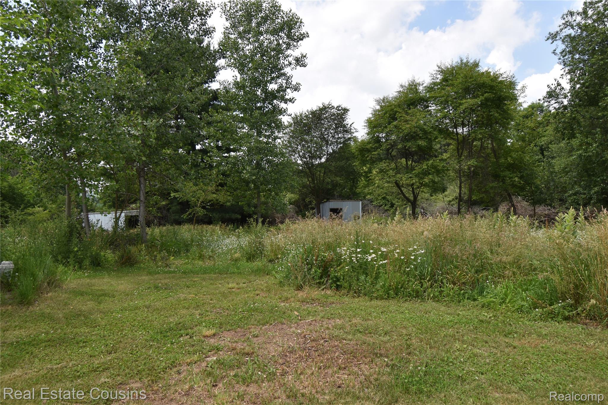 2247 Johnson Mill Road North Branch, MI 48461 - Photo 20 of 22 Expansive natural landscape featuring a mix of manicured lawn and wild grasses, bordered by mature trees