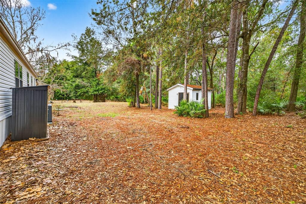 6781 West Grant Street Homosassa, FL 34448 - Photo 21 of 24 a view of backyard with green space
