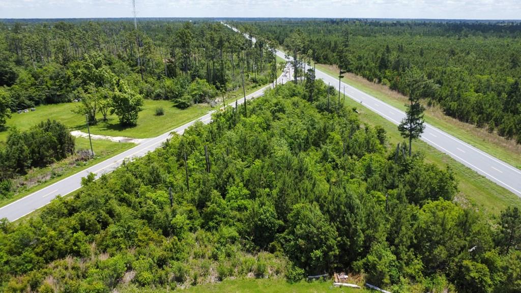 Lot 6 Borders Road Wewahitchka, FL 32465 - Photo 1 of 9