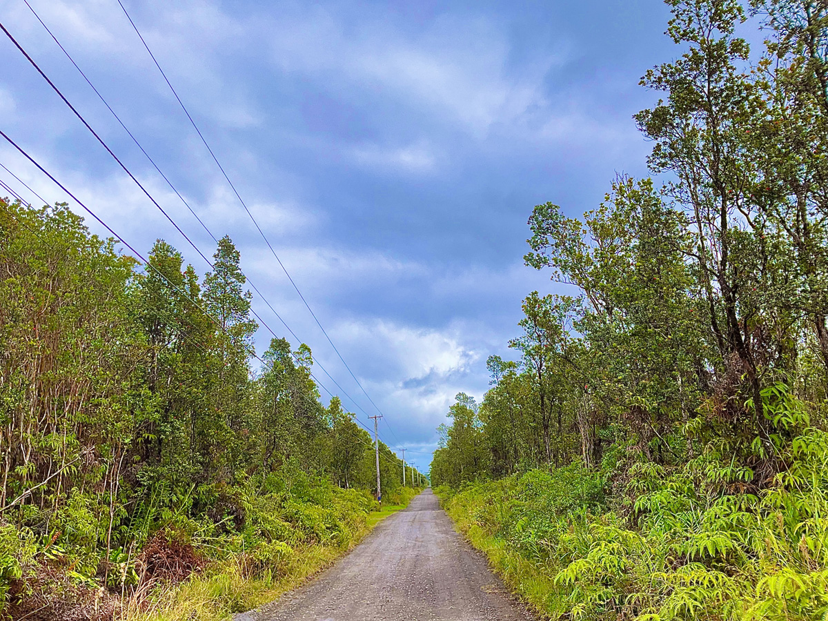 20 Makoa Road Pahoa, HI 96778 - Photo 3 of 8