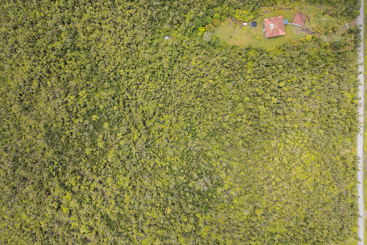 20 Makoa Road Pahoa, HI 96778 - Photo 6 of 8