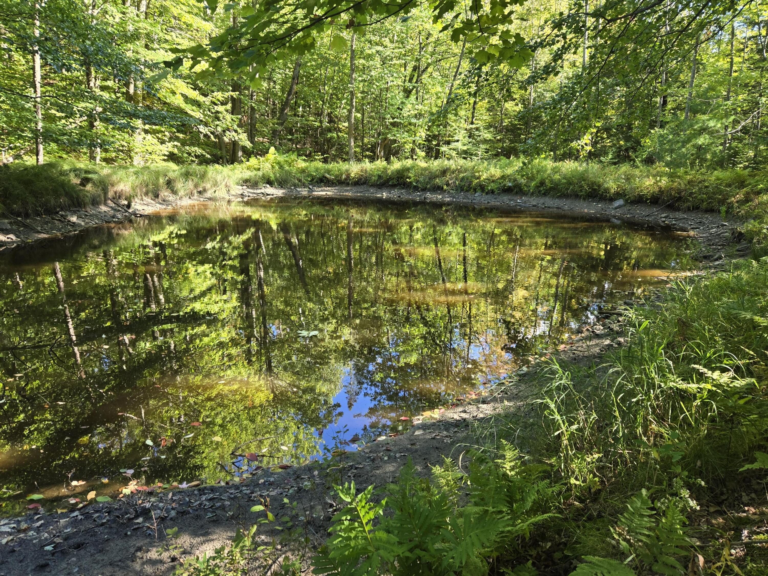 512 Mosher Hill Road Farmington, ME 04938 - Photo 27 of 27 pond