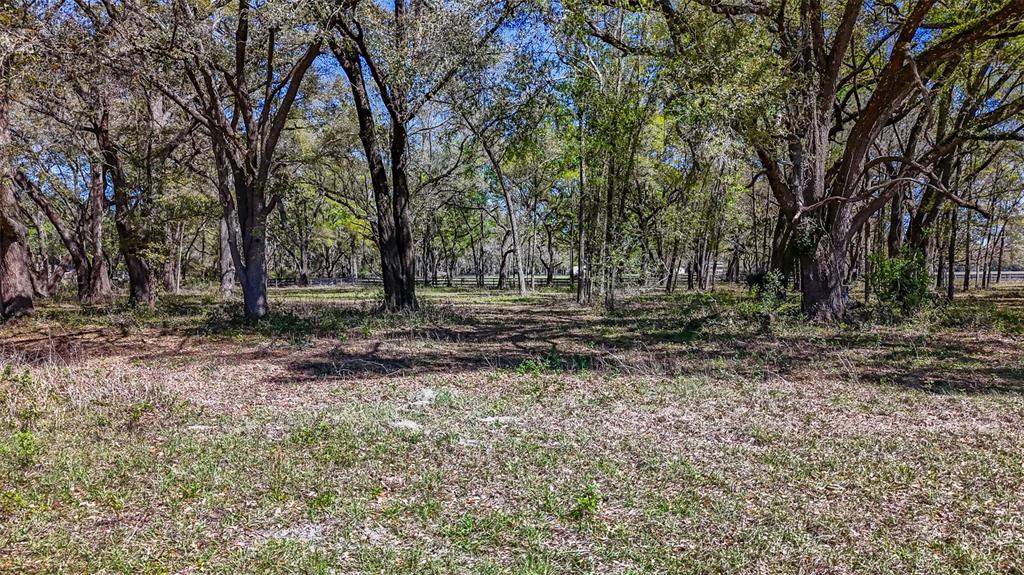 Northeast 160th Avenue Williston, FL 32696 - Photo 18 of 44 a view of outdoor space with trees
