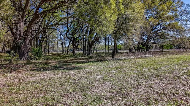 a view of outdoor space with trees