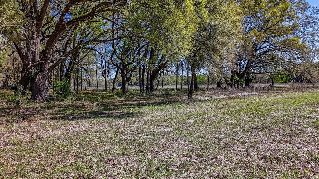 Northeast 160th Avenue Williston, FL 32696 - Photo 19 of 44 a view of outdoor space with trees