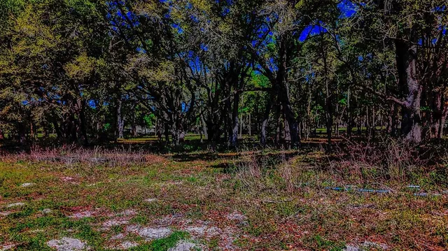 a view of swimming pool with a yard