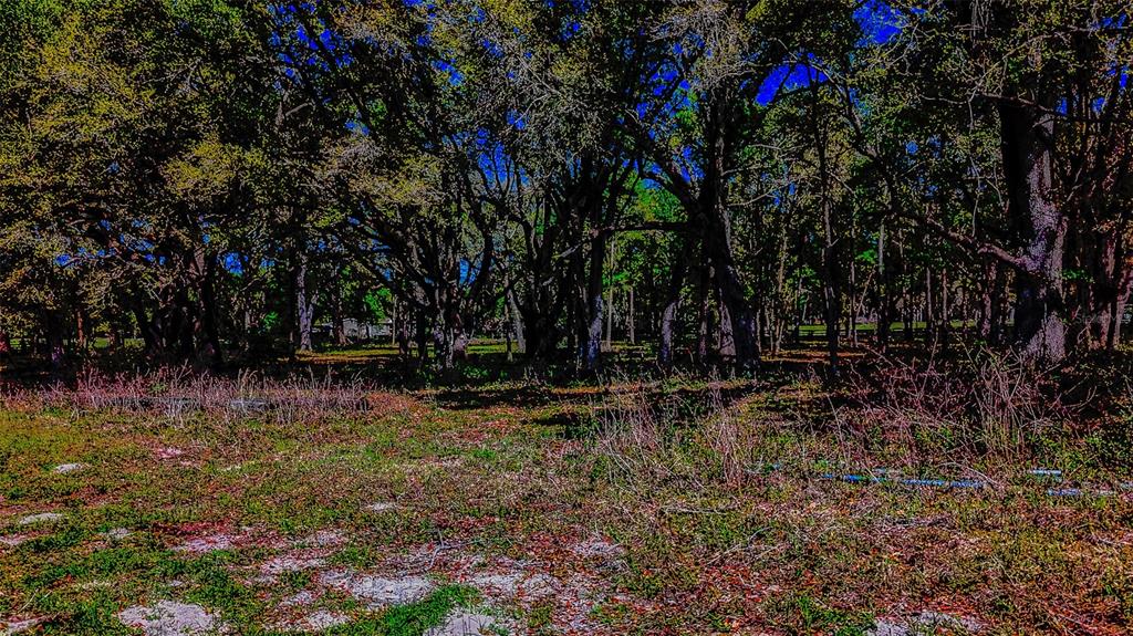 Northeast 160th Avenue Williston, FL 32696 - Photo 20 of 44 a view of swimming pool with a yard