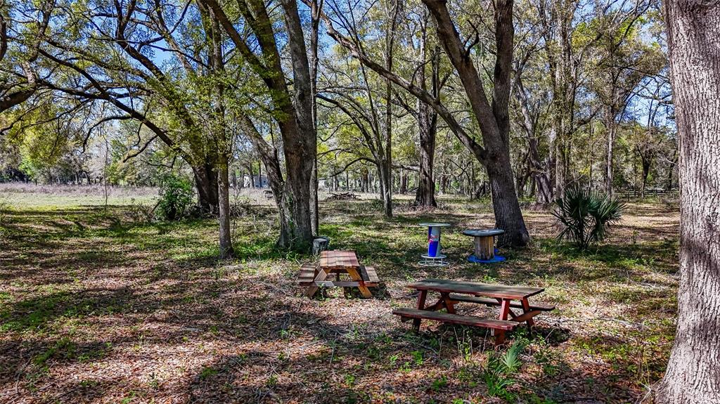 Northeast 160th Avenue Williston, FL 32696 - Photo 22 of 44 a backyard of a house with outdoor seating