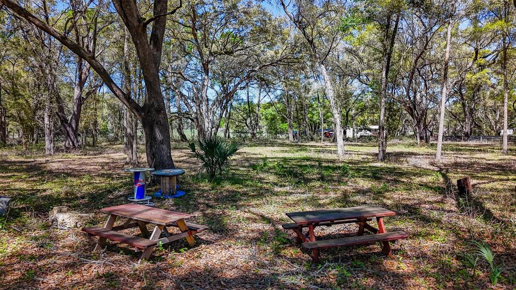 Northeast 160th Avenue Williston, FL 32696 - Photo 23 of 44 a backyard of a house with lots of green space