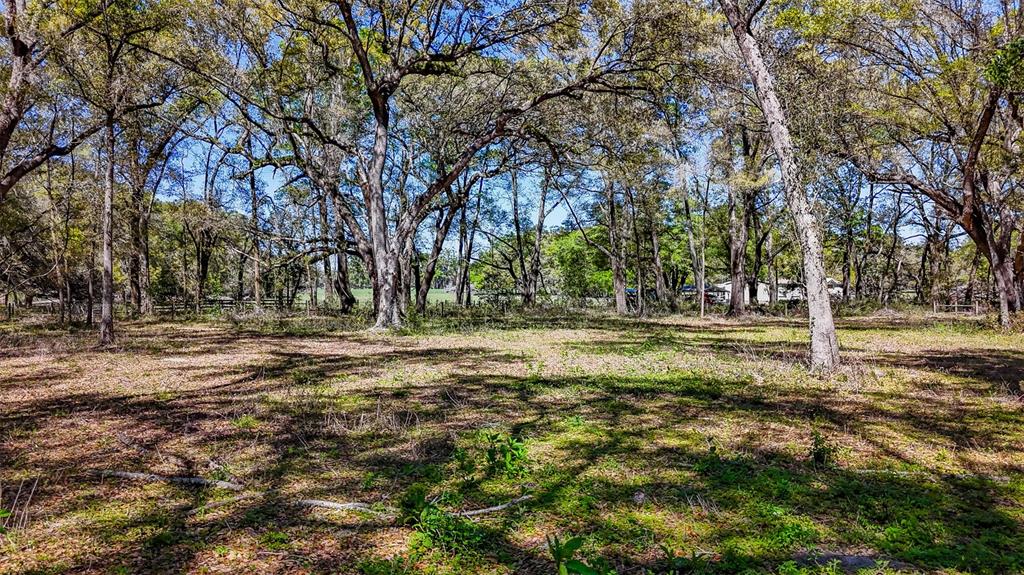 Northeast 160th Avenue Williston, FL 32696 - Photo 24 of 44 a view of outdoor space with trees