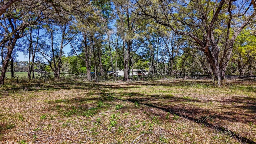 Northeast 160th Avenue Williston, FL 32696 - Photo 25 of 44 a view of a tree with a yard
