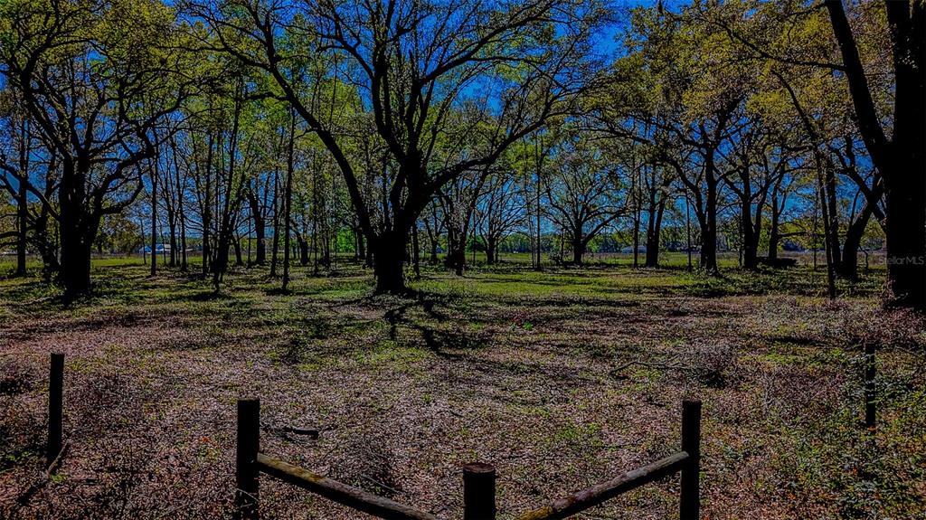 Northeast 160th Avenue Williston, FL 32696 - Photo 26 of 44 a view of a park that has large trees