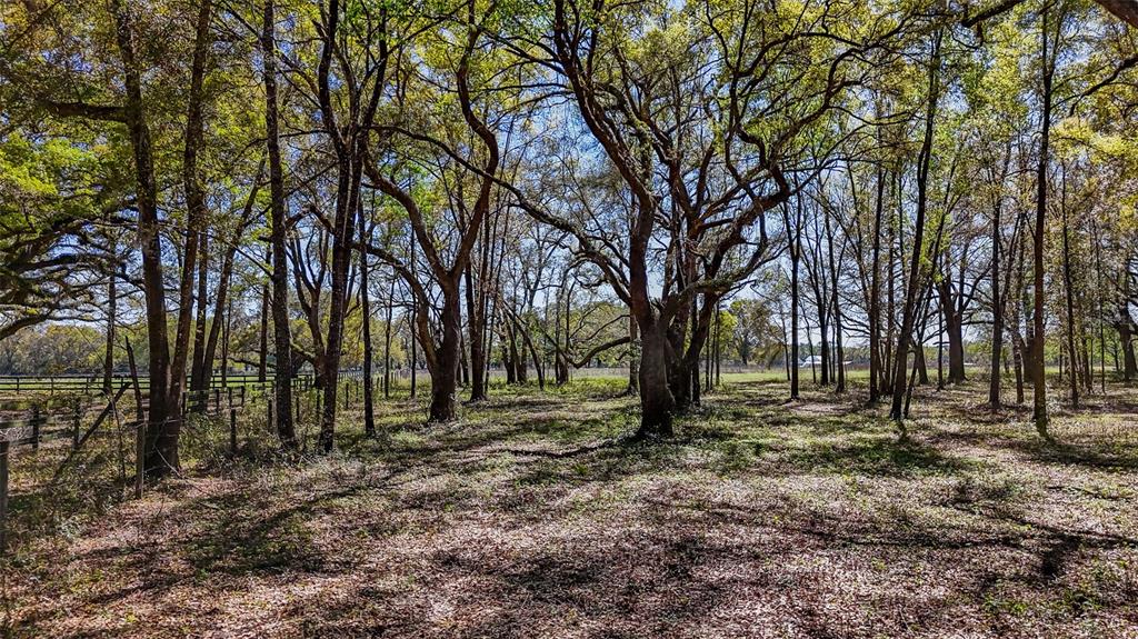 Northeast 160th Avenue Williston, FL 32696 - Photo 29 of 44 a view of house with trees in the background